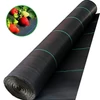 Kép 12/16 - Agrofólia 0,6x100m 90g/m2